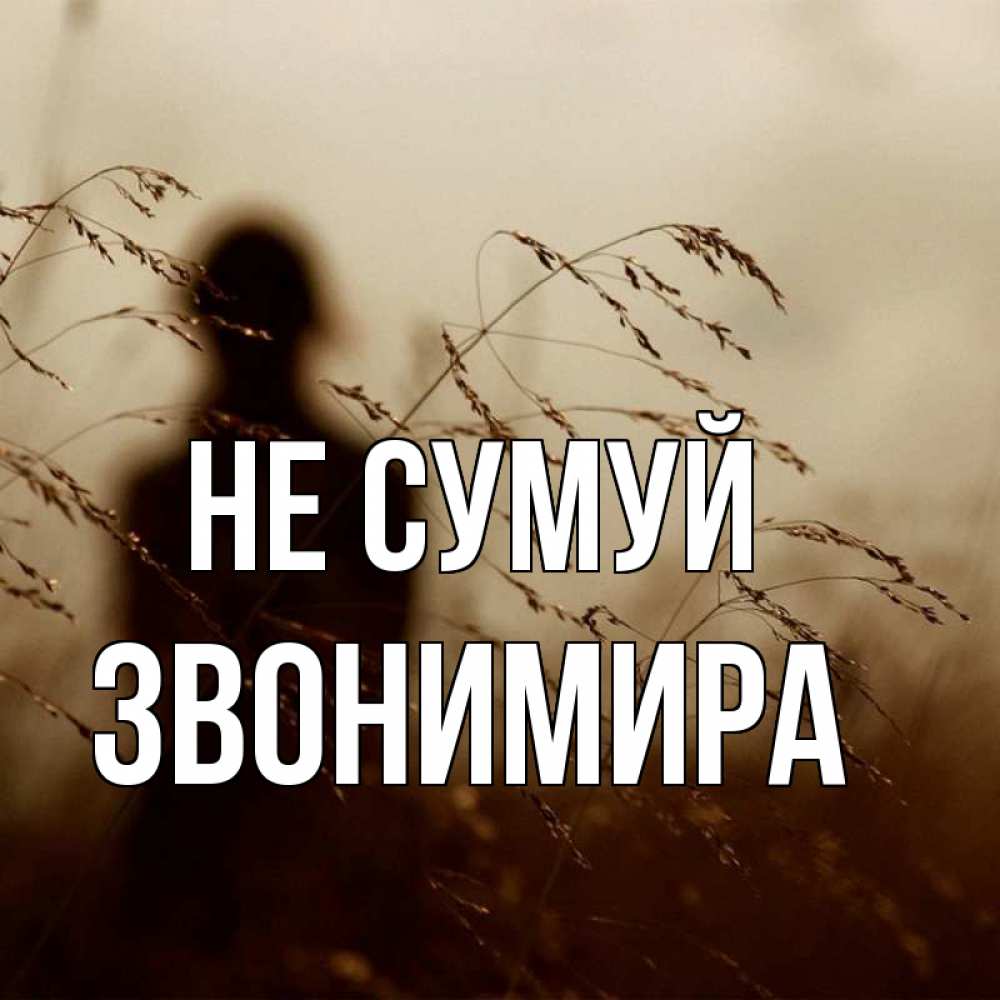 Открытка на каждый день з підписом, Звонимира Не сумуй грусть Прикольна листівка з побажанням онлайн скачати безкоштовно 