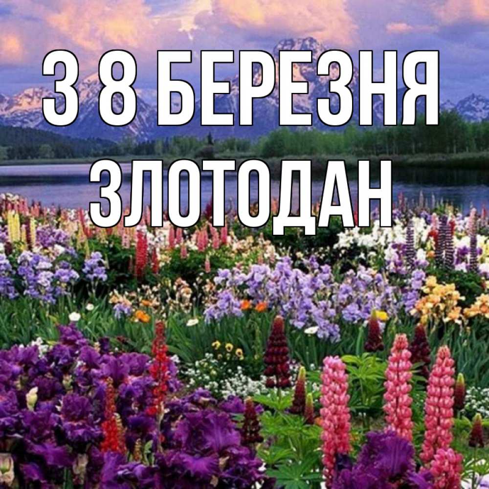 Открытка на каждый день з підписом, Злотодан З 8 БЕРЕЗНЯ международный женский день Прикольна листівка з побажанням онлайн скачати безкоштовно 