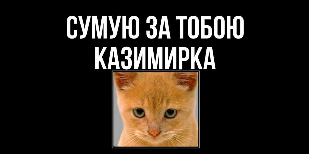 Открытка на каждый день з підписом, Казимирка Сумую за тобою открытки рыжий котенок скучает по тебе Прикольна листівка з побажанням онлайн скачати безкоштовно 