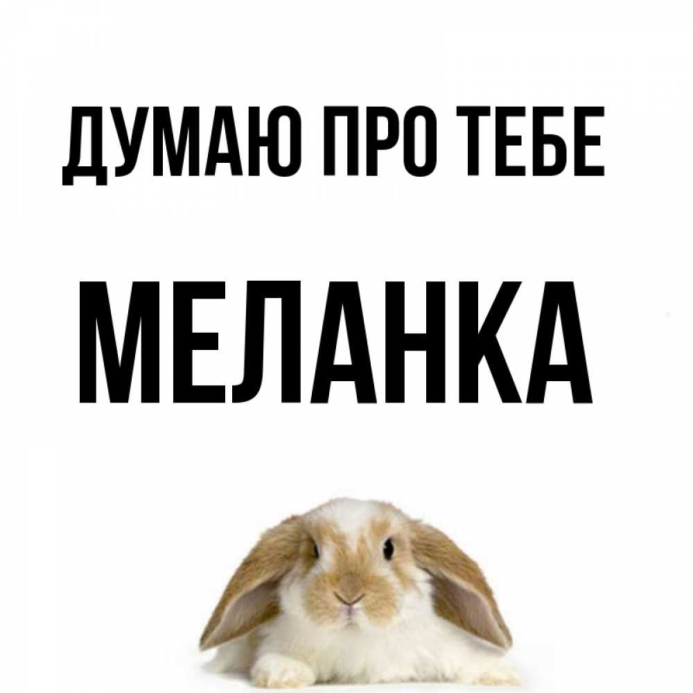 Открытка на каждый день з підписом, Меланка Думаю про тебе подписать своими руками онлайн Прикольна листівка з побажанням онлайн скачати безкоштовно 