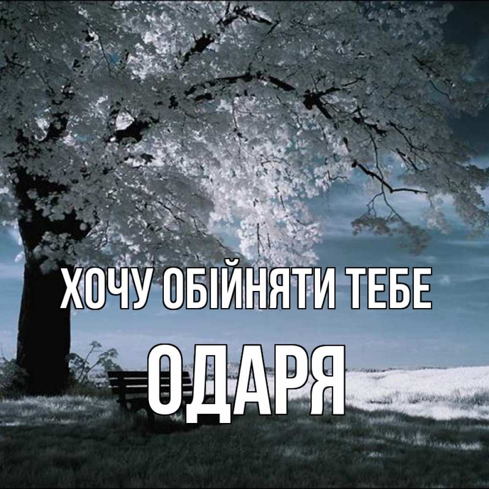 Открытка на каждый день з підписом, Одаря Хочу обійняти тебе дерево Прикольна листівка з побажанням онлайн скачати безкоштовно 