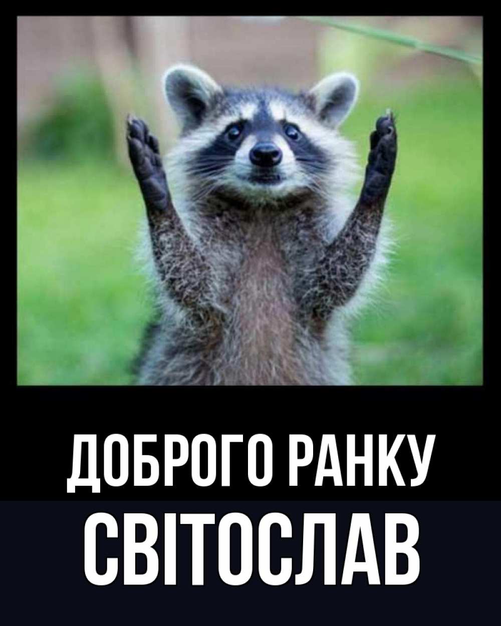 Открытка на каждый день з підписом, Світослав Доброго ранку хорошее настроение утречком Прикольна листівка з побажанням онлайн скачати безкоштовно 