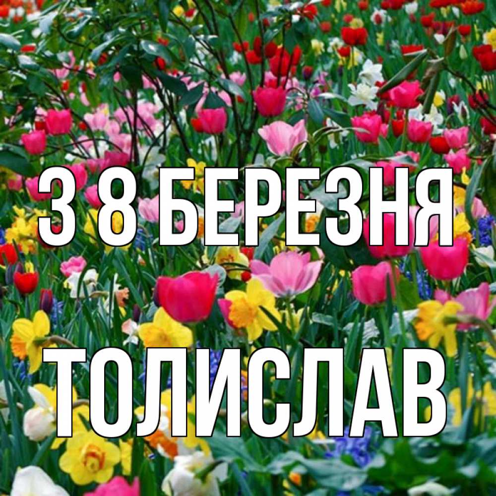 Открытка на каждый день з підписом, Толислав З 8 БЕРЕЗНЯ с международным женским днем поздравления для женщины Прикольна листівка з побажанням онлайн скачати безкоштовно 