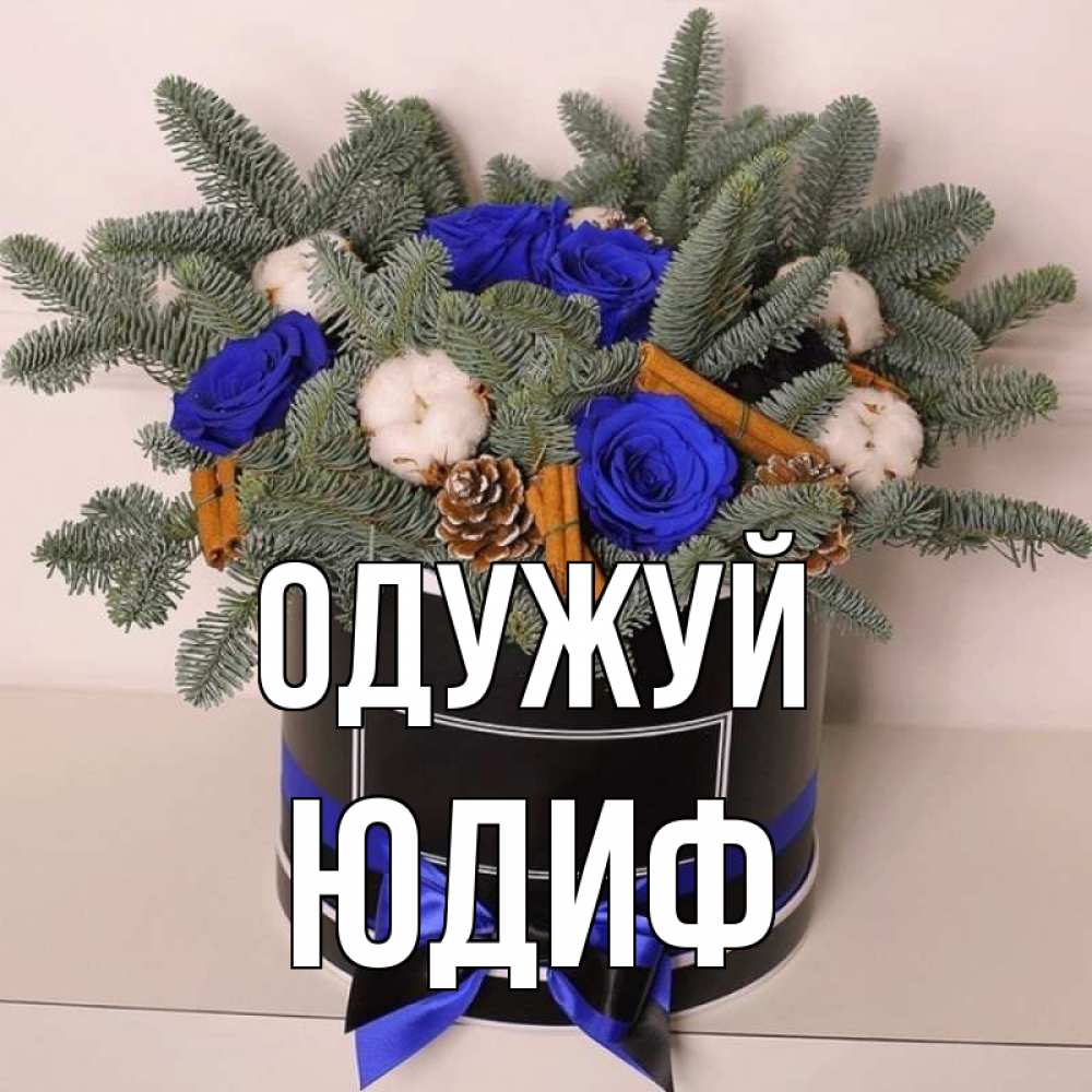 Открытка на каждый день з підписом, Юдиф Одужуй короче кто то загрузил эти шишки Прикольна листівка з побажанням онлайн скачати безкоштовно 