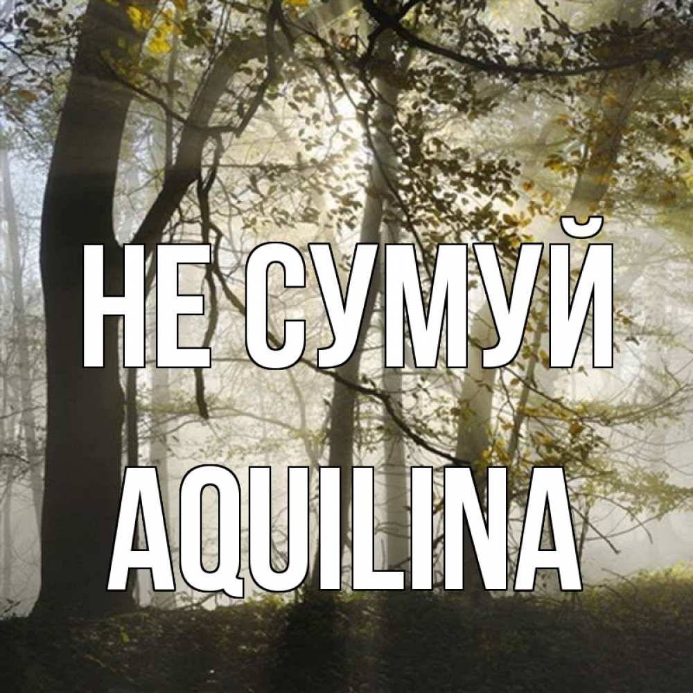 Открытка на каждый день з підписом, Aquilina Не сумуй лес и свет Прикольна листівка з побажанням онлайн скачати безкоштовно 