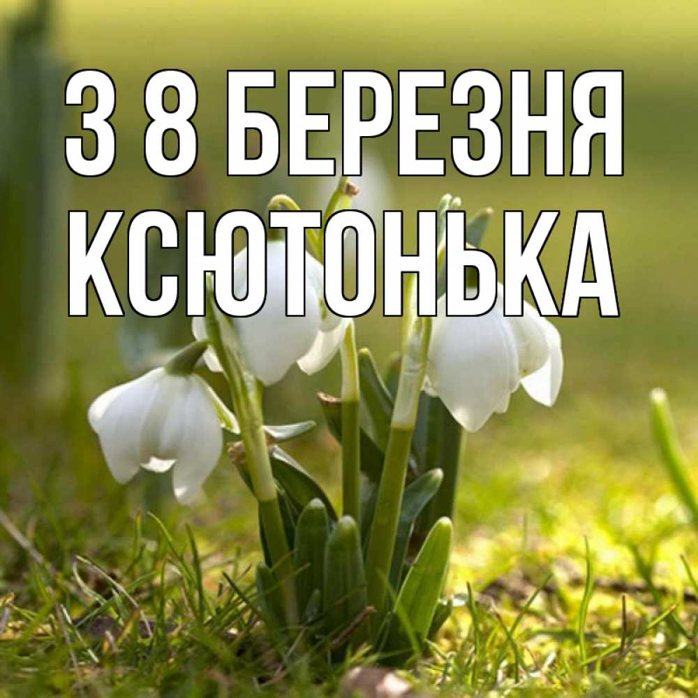 Открытка на каждый день з підписом, Ксютонька З 8 БЕРЕЗНЯ ранние цветы 2 Прикольна листівка з побажанням онлайн скачати безкоштовно 