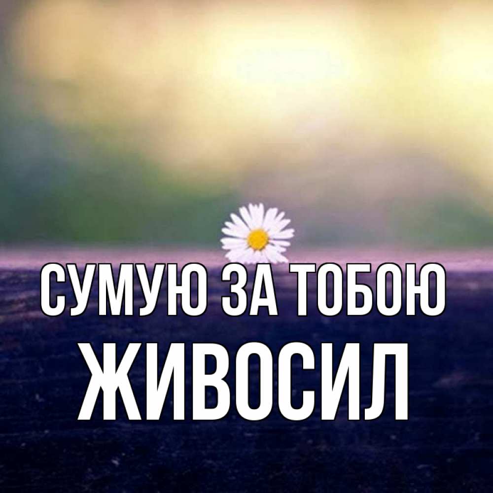 Открытка на каждый день з підписом, Живосил Сумую за тобою приходи в гости Прикольна листівка з побажанням онлайн скачати безкоштовно 