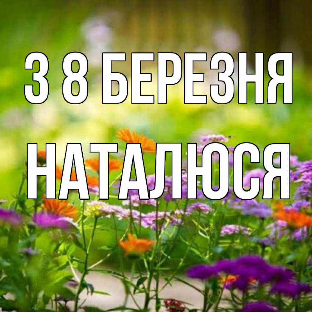 Открытка на каждый день з підписом, Наталюся З 8 БЕРЕЗНЯ цветы Прикольна листівка з побажанням онлайн скачати безкоштовно 