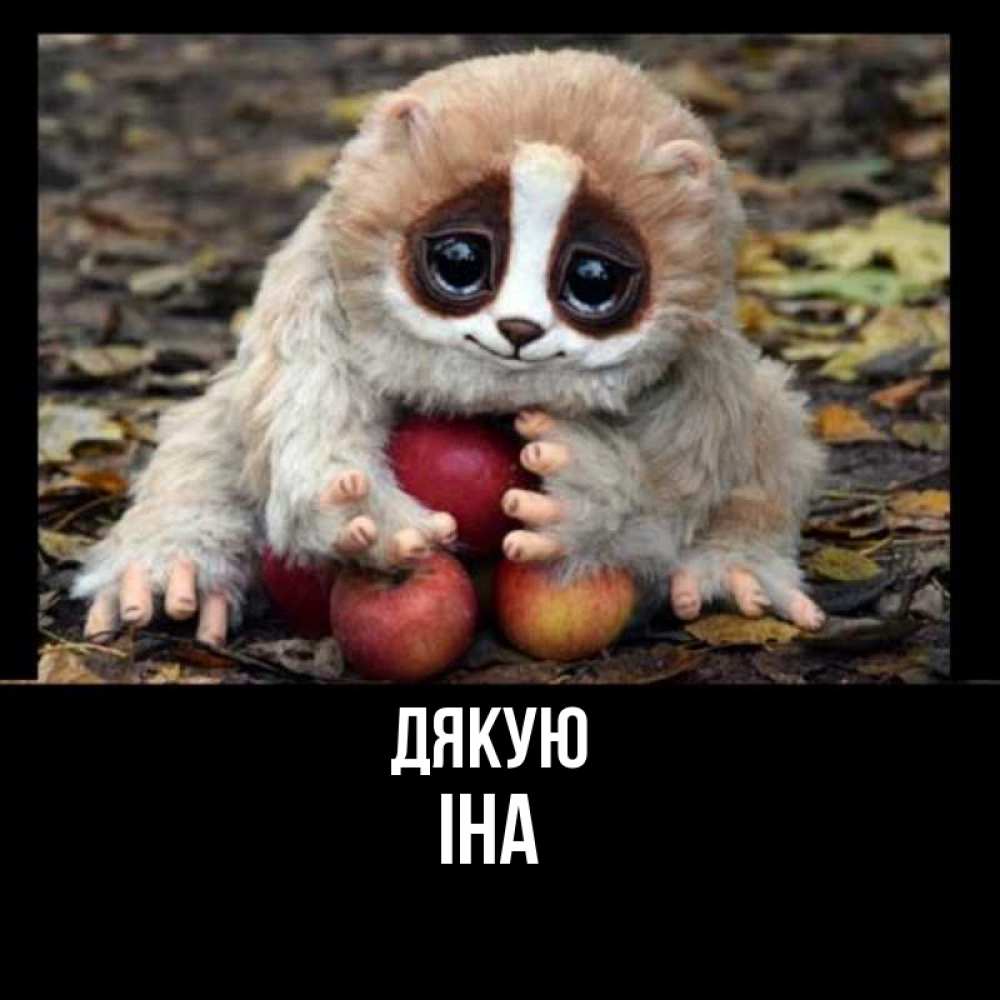 Открытка на каждый день з підписом, Іна Дякую прикольное животное Прикольна листівка з побажанням онлайн скачати безкоштовно 