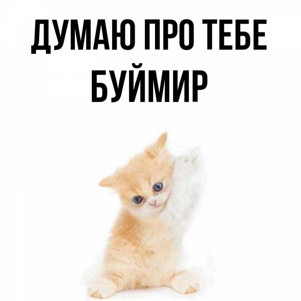 Открытка на каждый день з підписом, Буймир Думаю про тебе зверушки и милота Прикольна листівка з побажанням онлайн скачати безкоштовно 