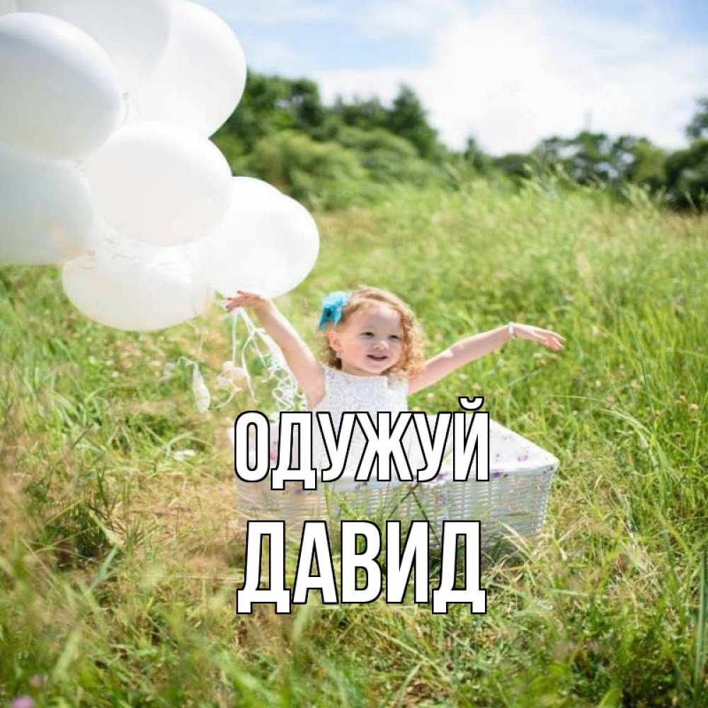 Открытка на каждый день з підписом, Давид Одужуй девочка сидит в корзине наверное от этого больной должен выздороветь Прикольна листівка з побажанням онлайн скачати безкоштовно 
