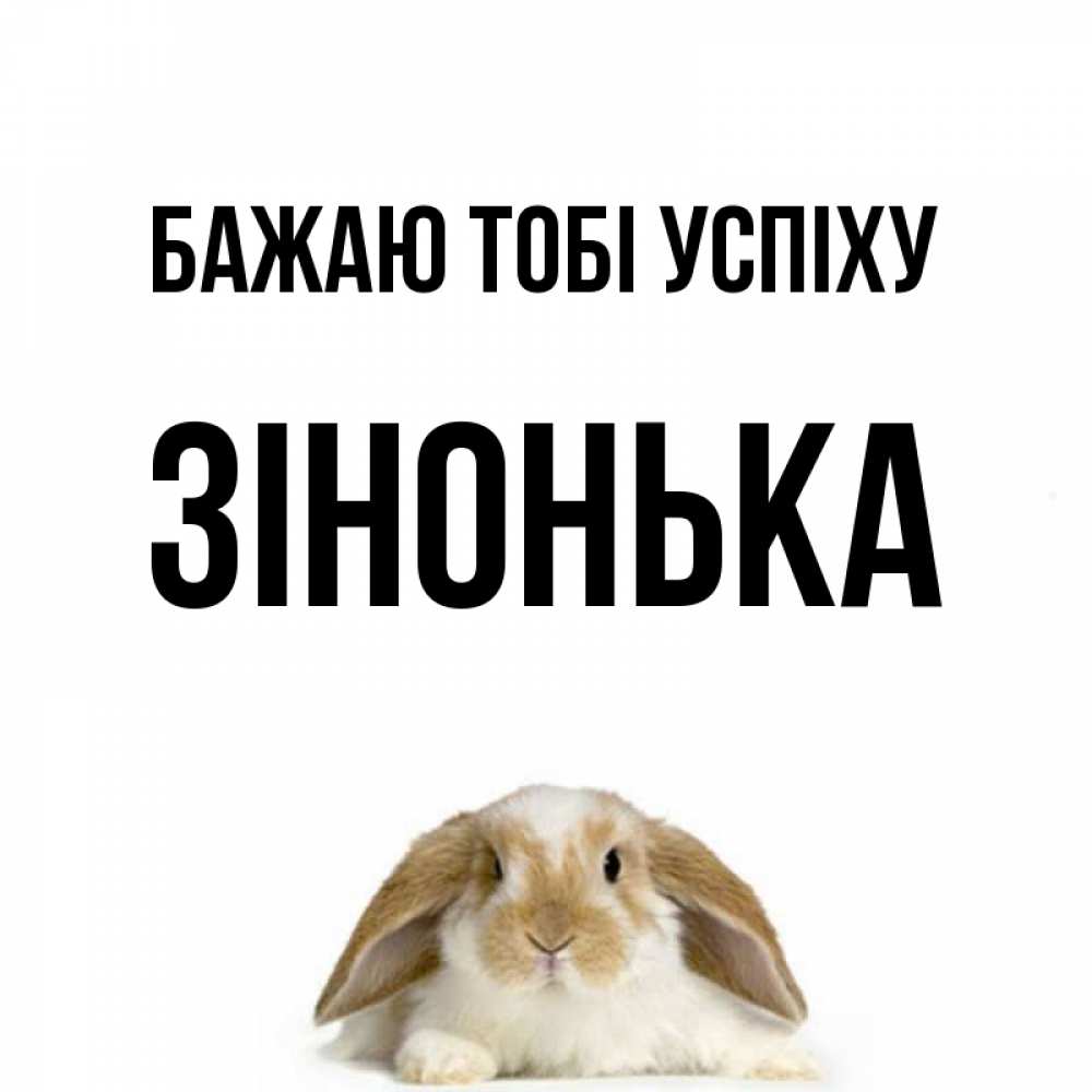 Открытка на каждый день з підписом, Зінонька Бажаю тобі успіху открытки с произвольным текстом который можно вставить в открытку и создать ее самостоятельно бесплатно онлайн Прикольна листівка з побажанням онлайн скачати безкоштовно 