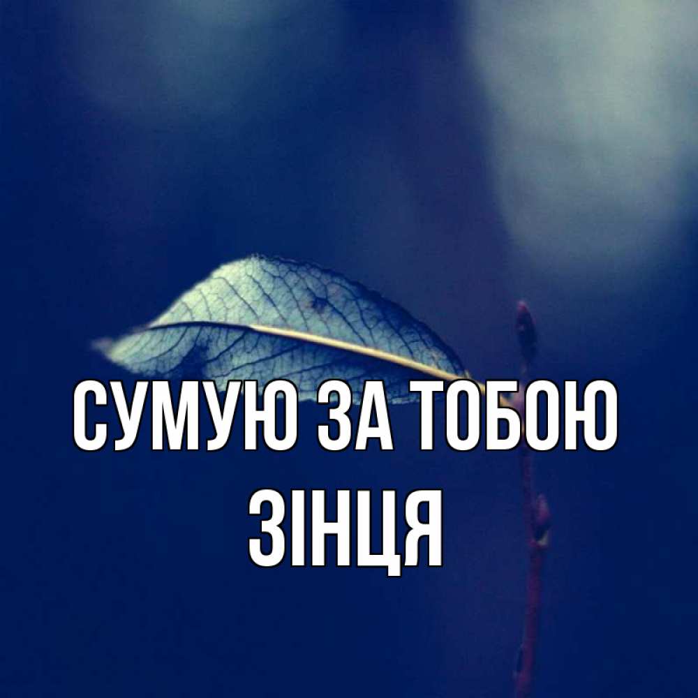Открытка на каждый день з підписом, Зінця Сумую за тобою одна ветка 1 Прикольна листівка з побажанням онлайн скачати безкоштовно 