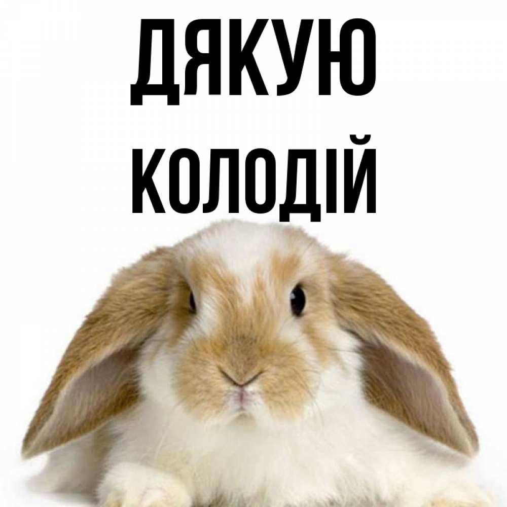 Открытка на каждый день з підписом, Колодій Дякую коричнево белый заяц Прикольна листівка з побажанням онлайн скачати безкоштовно 