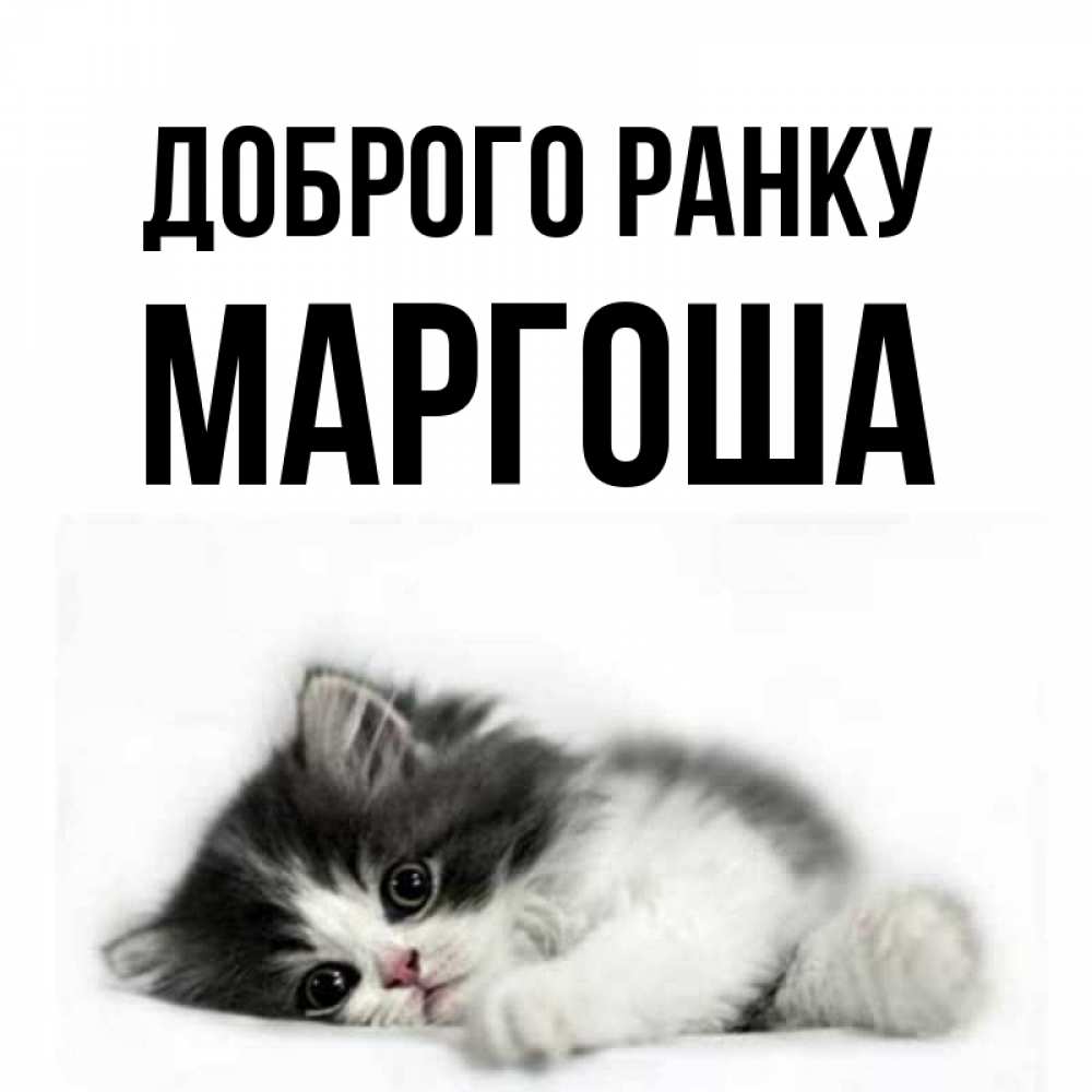 Открытка на каждый день з підписом, Маргоша Доброго ранку кот лапки Прикольна листівка з побажанням онлайн скачати безкоштовно 