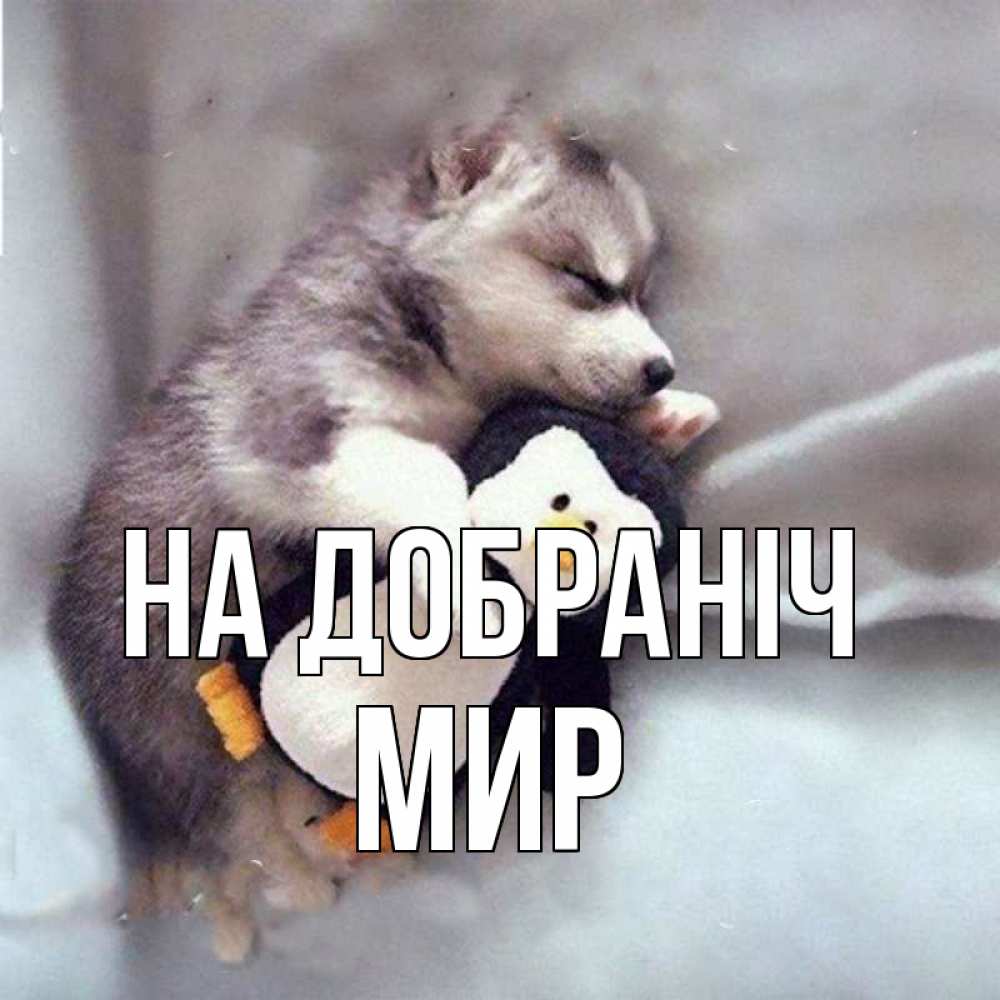 Открытка на каждый день з підписом, Мир На добраніч обнимашки щенка и пингвина Прикольна листівка з побажанням онлайн скачати безкоштовно 