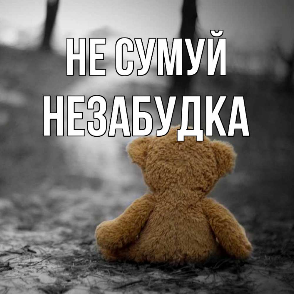 Открытка на каждый день з підписом, Незабудка Не сумуй медведь со спин Прикольна листівка з побажанням онлайн скачати безкоштовно 
