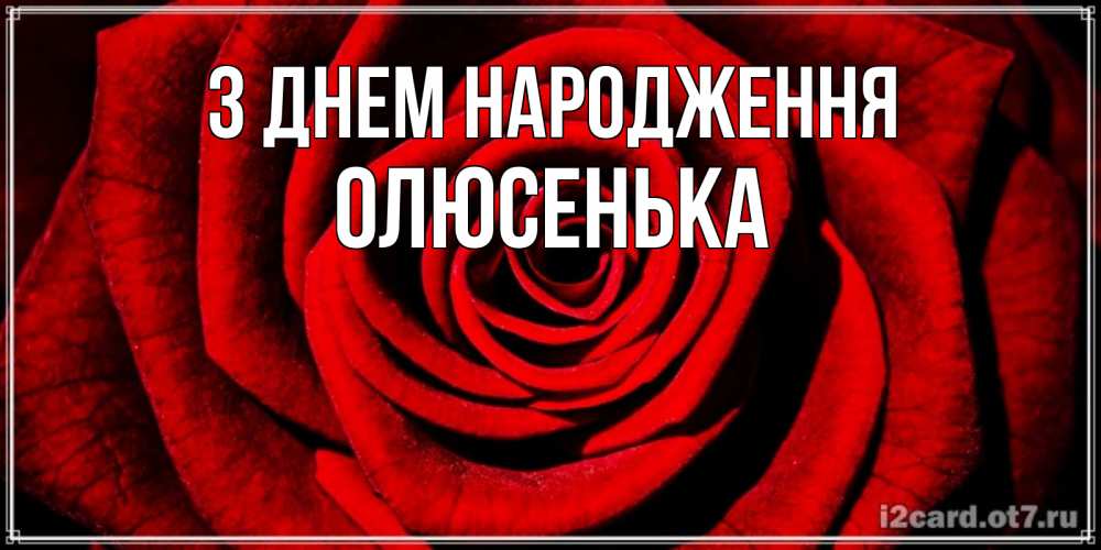 Открытка на каждый день з підписом, Олюсенька З Днем народження алая роза Прикольна листівка з побажанням онлайн скачати безкоштовно 