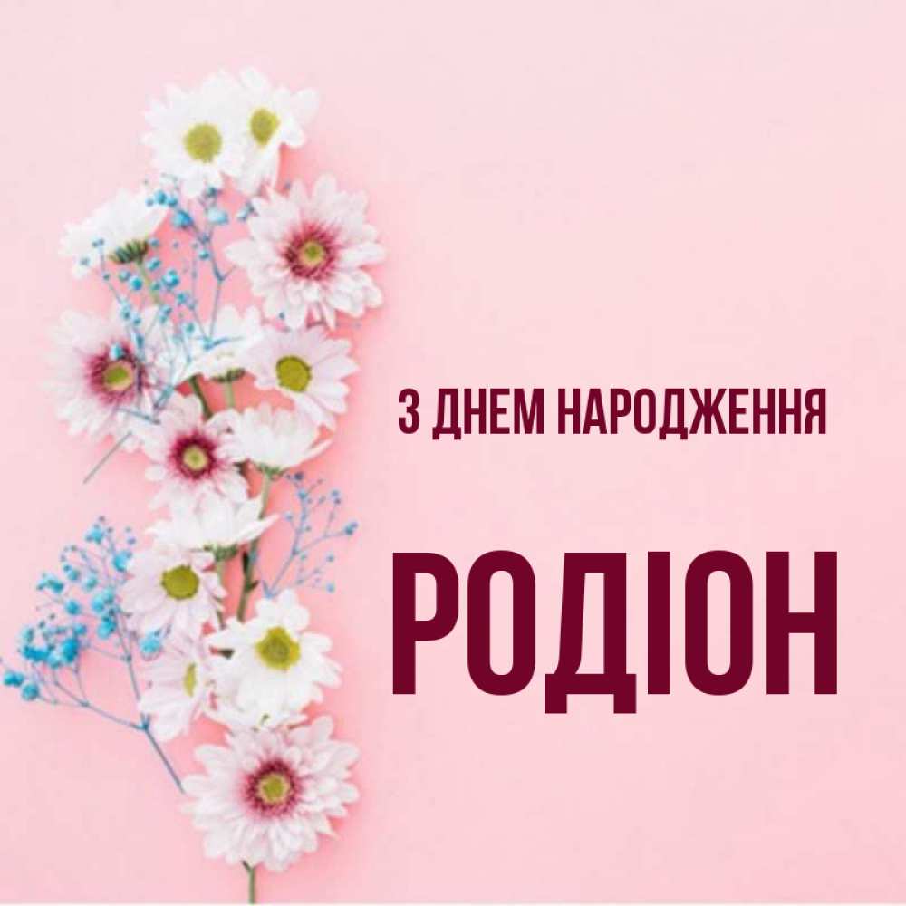 Открытка на каждый день з підписом, Родіон З Днем народження Родная моя с днем рождения тебя картинка с цветами белыми и голубыми Прикольна листівка з побажанням онлайн скачати безкоштовно 
