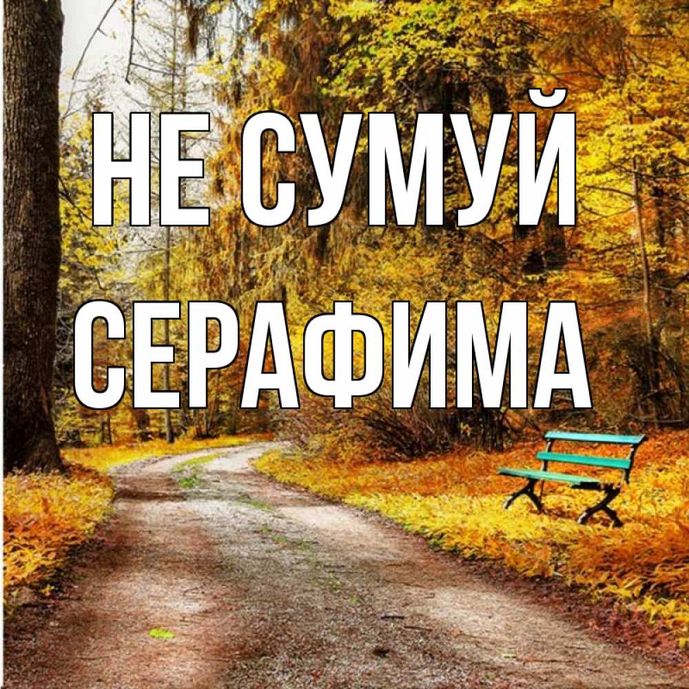 Открытка на каждый день з підписом, Серафима Не сумуй зеленая лавочка Прикольна листівка з побажанням онлайн скачати безкоштовно 