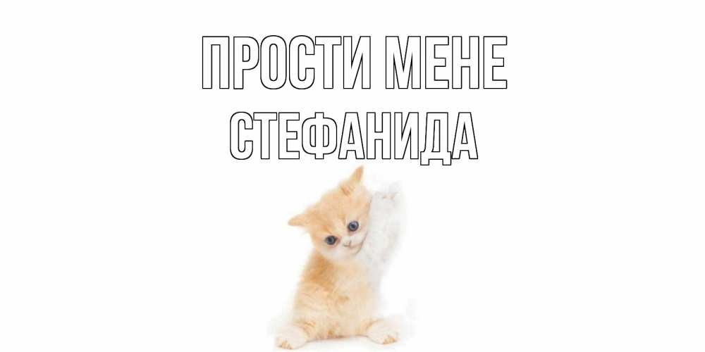 Открытка на каждый день з підписом, Стефанида Прости мене кот Прикольна листівка з побажанням онлайн скачати безкоштовно 