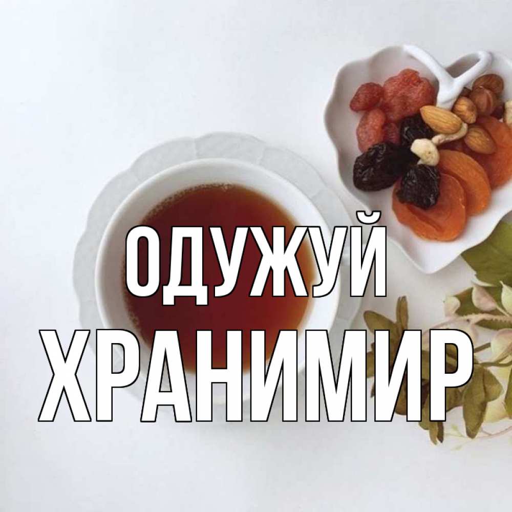 Открытка на каждый день з підписом, Хранимир Одужуй неизвестные растения Прикольна листівка з побажанням онлайн скачати безкоштовно 
