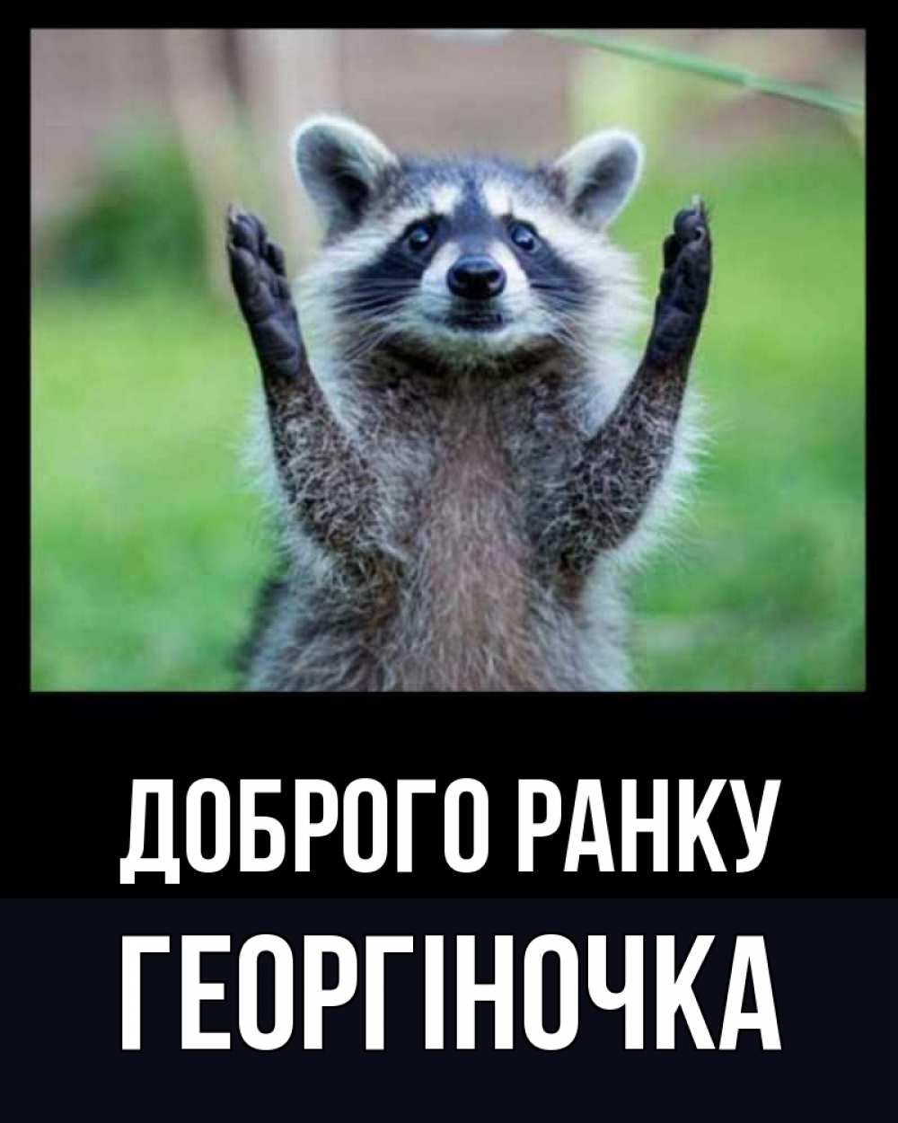 Открытка на каждый день з підписом, Георгіночка Доброго ранку хорошее настроение утречком Прикольна листівка з побажанням онлайн скачати безкоштовно 