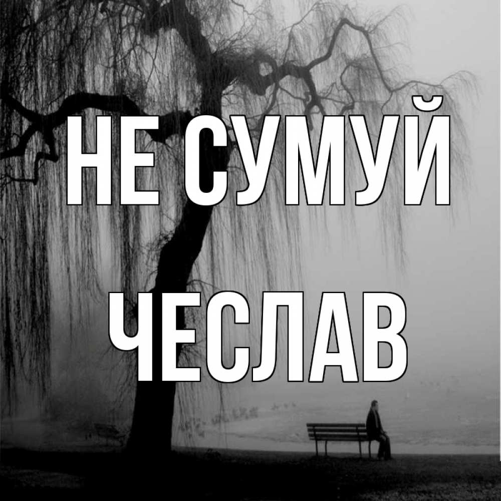 Открытка на каждый день з підписом, Чеслав Не сумуй висящие ветки дерева и лавочка под деревом Прикольна листівка з побажанням онлайн скачати безкоштовно 