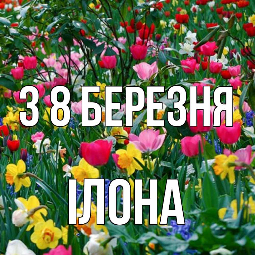 Открытка на каждый день з підписом, Ілона З 8 БЕРЕЗНЯ с международным женским днем поздравления для женщины Прикольна листівка з побажанням онлайн скачати безкоштовно 