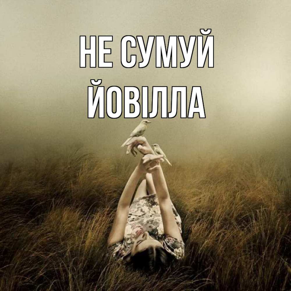 Открытка на каждый день з підписом, Йовілла Не сумуй поле и туман Прикольна листівка з побажанням онлайн скачати безкоштовно 