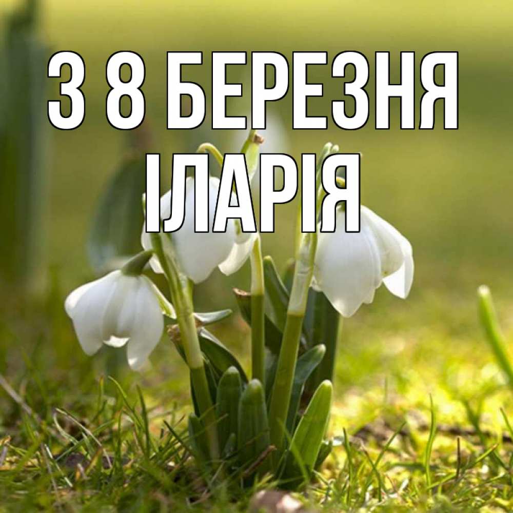 Открытка на каждый день з підписом, Іларія З 8 БЕРЕЗНЯ ранние цветы 2 Прикольна листівка з побажанням онлайн скачати безкоштовно 