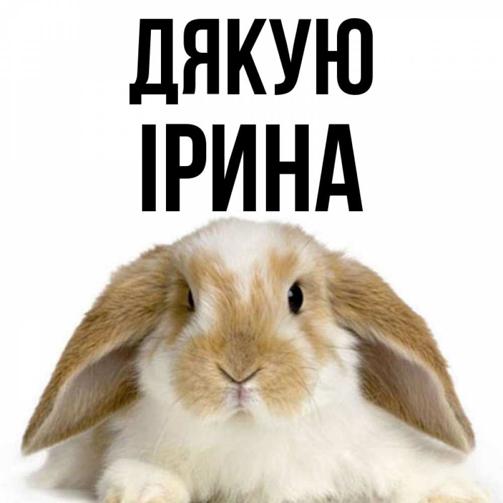 Открытка на каждый день з підписом, Ірина Дякую коричнево белый заяц Прикольна листівка з побажанням онлайн скачати безкоштовно 