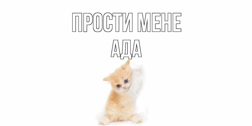Открытка на каждый день з підписом, Ада Прости мене кот Прикольна листівка з побажанням онлайн скачати безкоштовно 