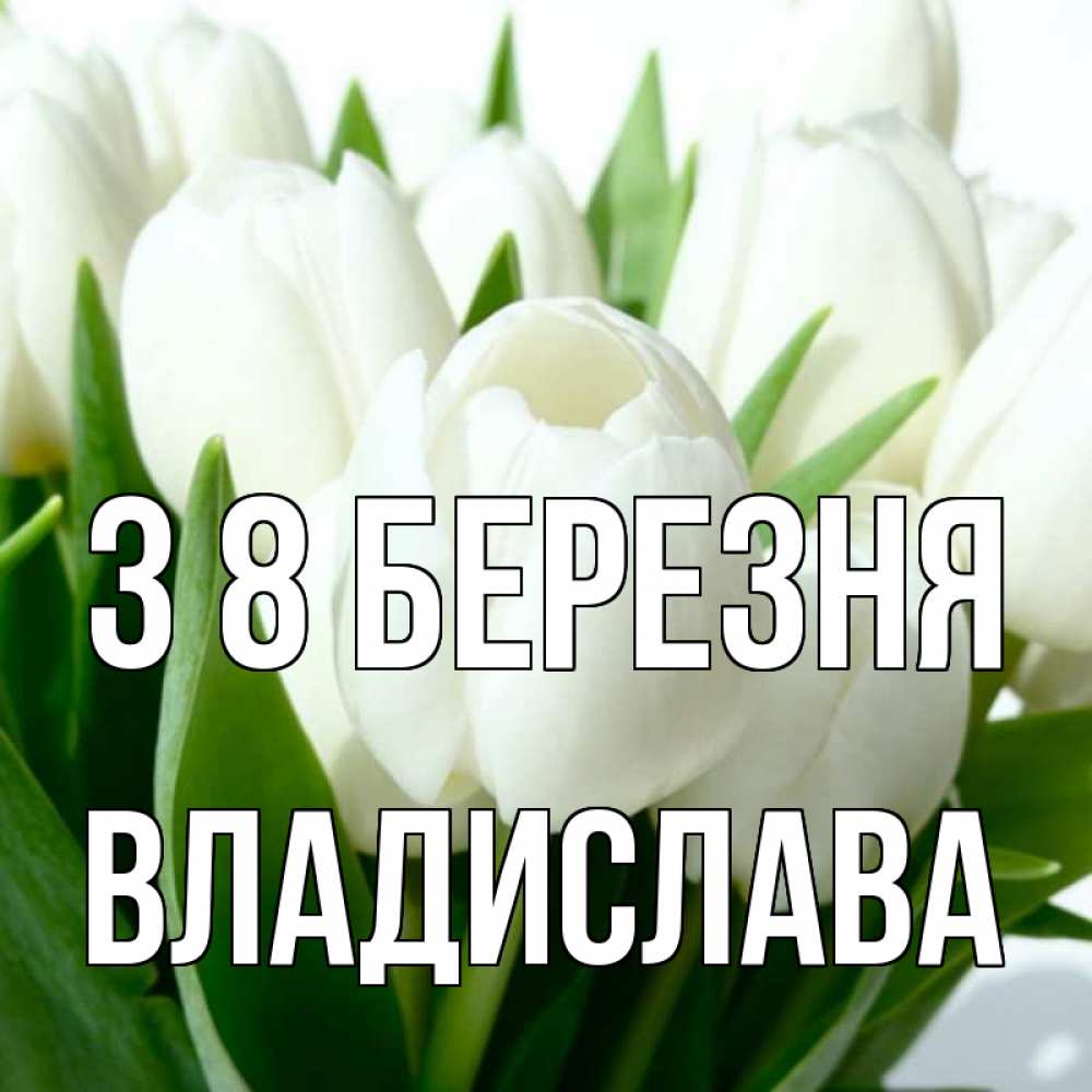 Открытка на каждый день з підписом, Владислава З 8 БЕРЕЗНЯ цветы Прикольна листівка з побажанням онлайн скачати безкоштовно 
