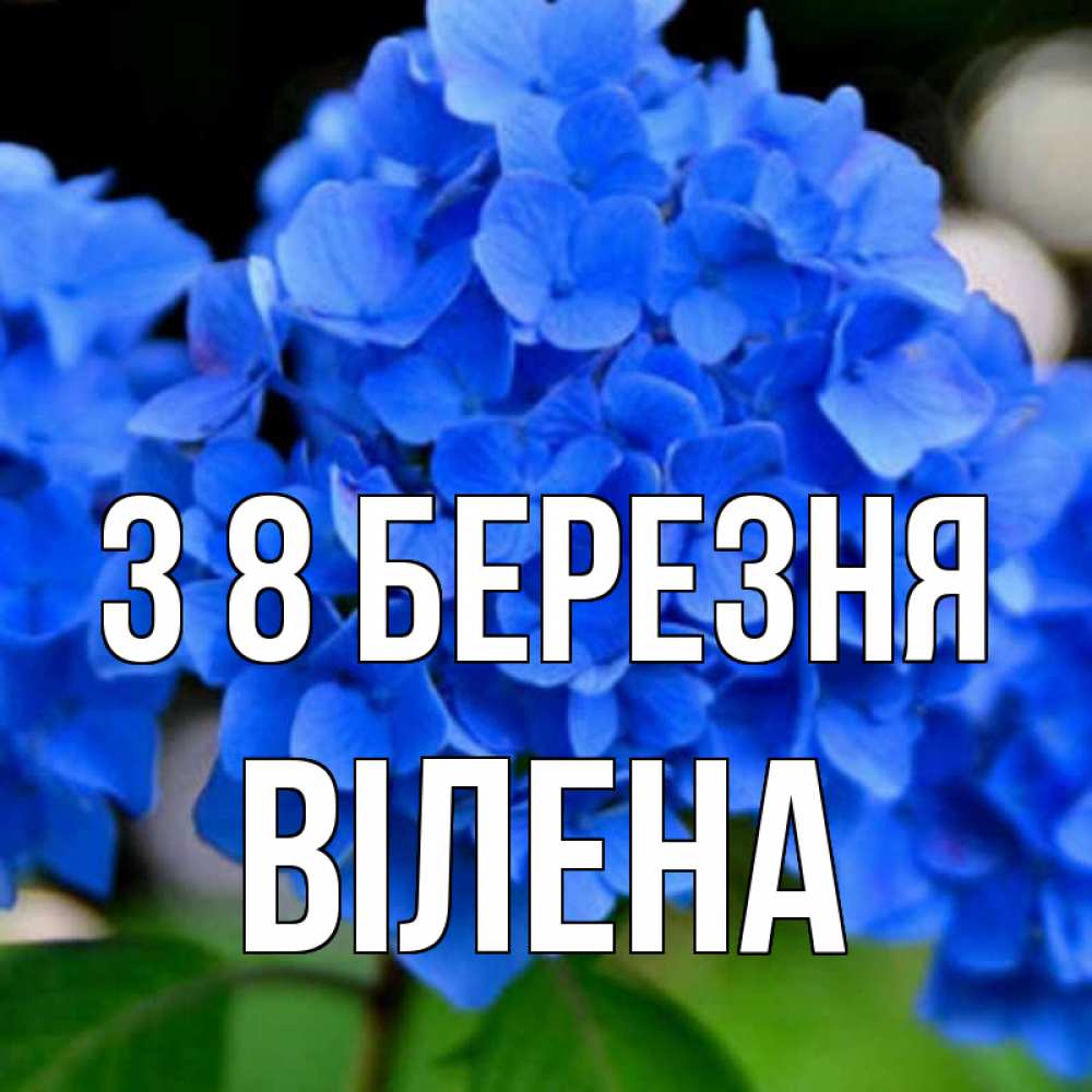 Открытка на каждый день з підписом, Вілена З 8 БЕРЕЗНЯ синие цветы Прикольна листівка з побажанням онлайн скачати безкоштовно 