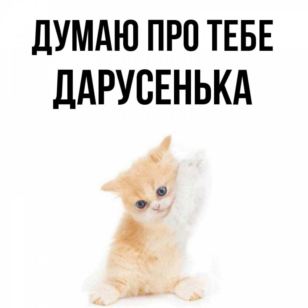 Открытка на каждый день з підписом, Дарусенька Думаю про тебе зверушки и милота Прикольна листівка з побажанням онлайн скачати безкоштовно 