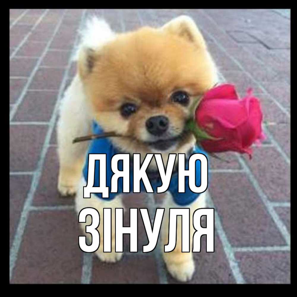Открытка на каждый день з підписом, Зінуля Дякую спасибо и дарю тебе цветок Прикольна листівка з побажанням онлайн скачати безкоштовно 