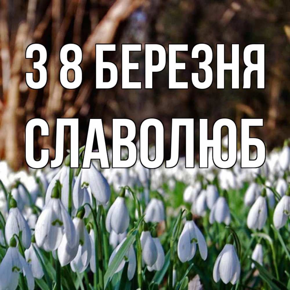 Открытка на каждый день з підписом, Славолюб З 8 БЕРЕЗНЯ с подснежниками 1 Прикольна листівка з побажанням онлайн скачати безкоштовно 