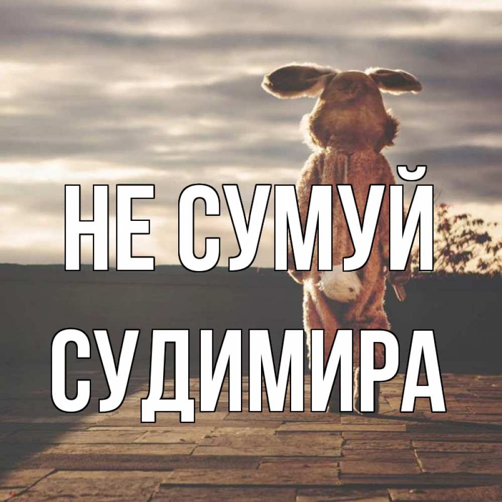 Открытка на каждый день з підписом, Судимира Не сумуй со спины Прикольна листівка з побажанням онлайн скачати безкоштовно 