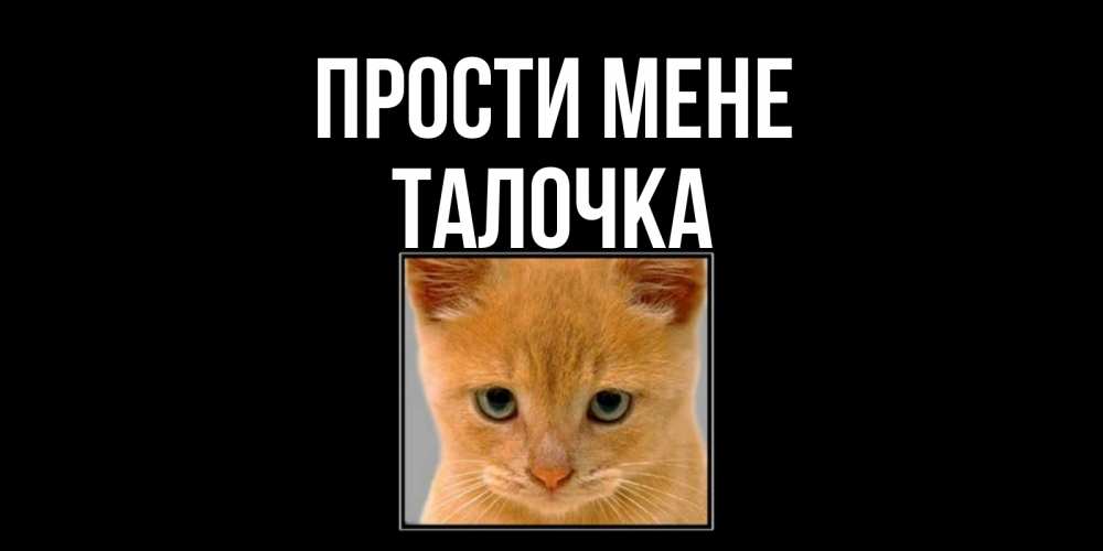 Открытка на каждый день з підписом, Талочка Прости мене рыжий грустный кот просит прощения Прикольна листівка з побажанням онлайн скачати безкоштовно 