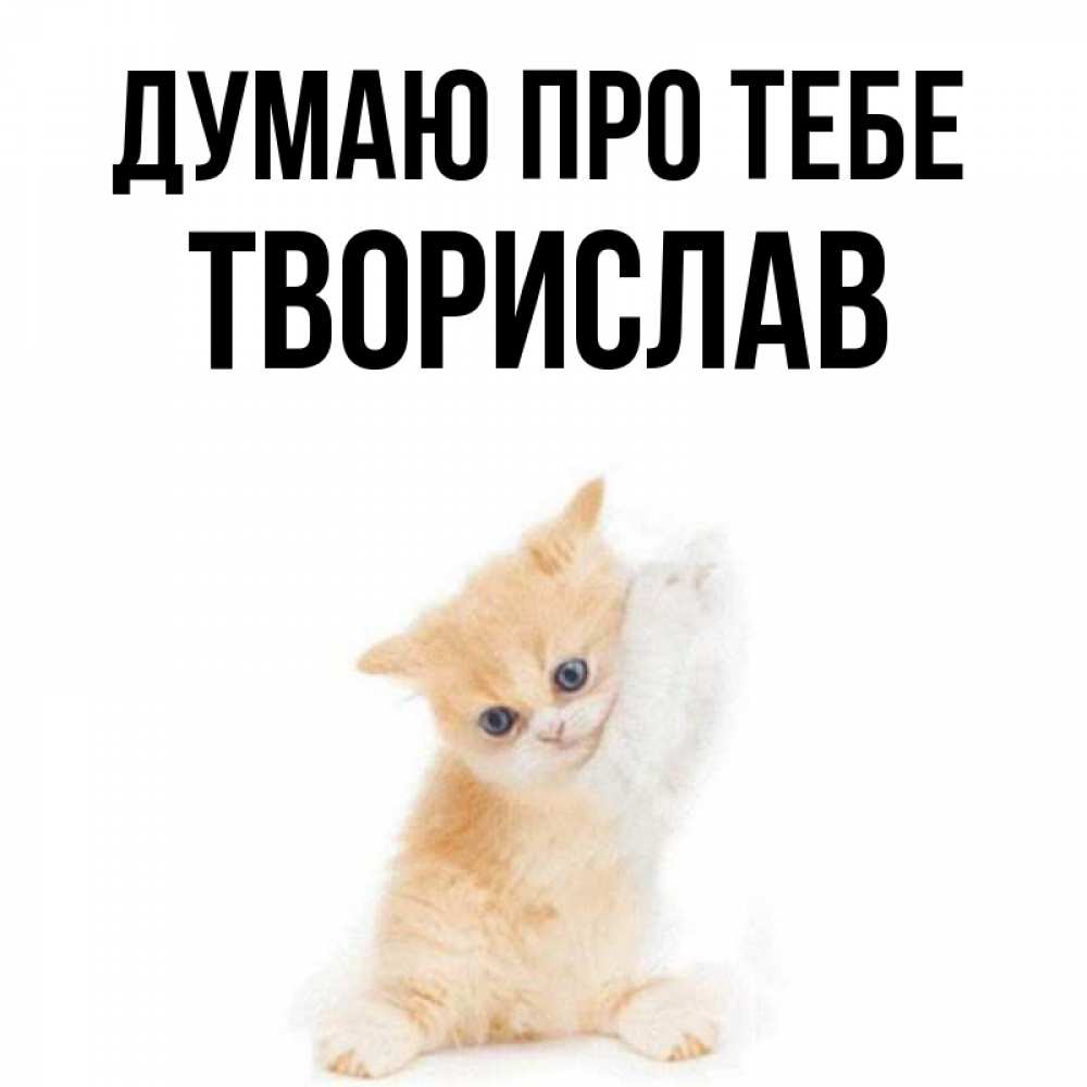 Открытка на каждый день з підписом, Творислав Думаю про тебе зверушки и милота Прикольна листівка з побажанням онлайн скачати безкоштовно 