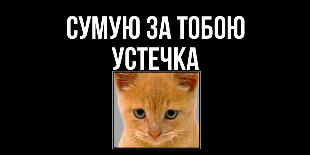 Открытка на каждый день з підписом, Устечка Сумую за тобою открытки рыжий котенок скучает по тебе Прикольна листівка з побажанням онлайн скачати безкоштовно 