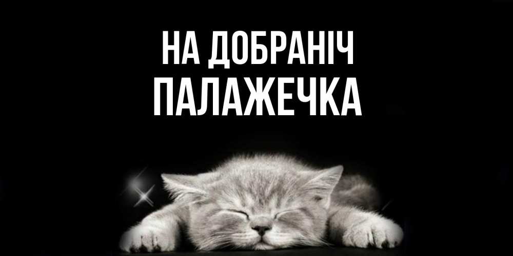 Открытка на каждый день з підписом, Палажечка На добраніч спящий котик Прикольна листівка з побажанням онлайн скачати безкоштовно 