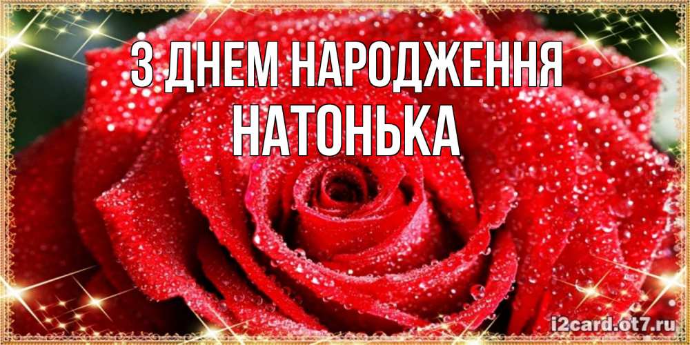 Открытка на каждый день з підписом, Натонька З Днем народження роса и роза. открытка с красивой розой Прикольна листівка з побажанням онлайн скачати безкоштовно 