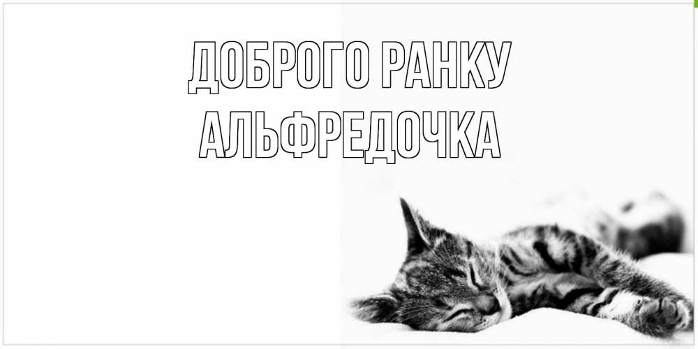 Открытка на каждый день з підписом, Альфредочка Доброго ранку котуся Прикольна листівка з побажанням онлайн скачати безкоштовно 