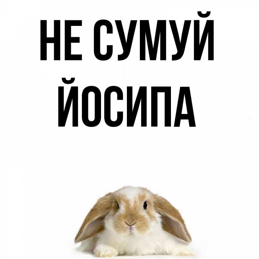 Открытка на каждый день з підписом, Йосипа Не сумуй коричнево белый заяц с большими ушками Прикольна листівка з побажанням онлайн скачати безкоштовно 