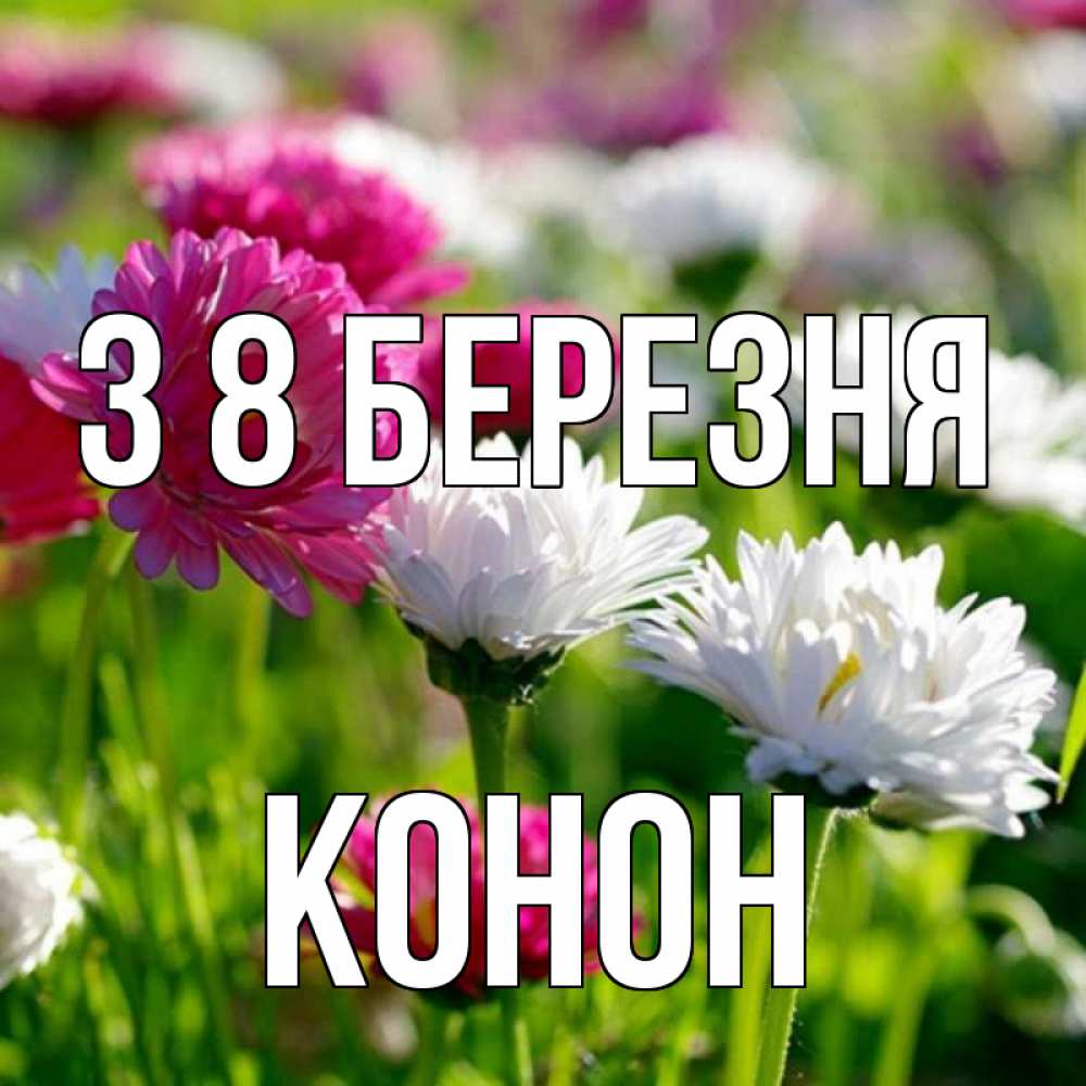 Открытка на каждый день з підписом, Конон З 8 БЕРЕЗНЯ международный женский день 1 Прикольна листівка з побажанням онлайн скачати безкоштовно 