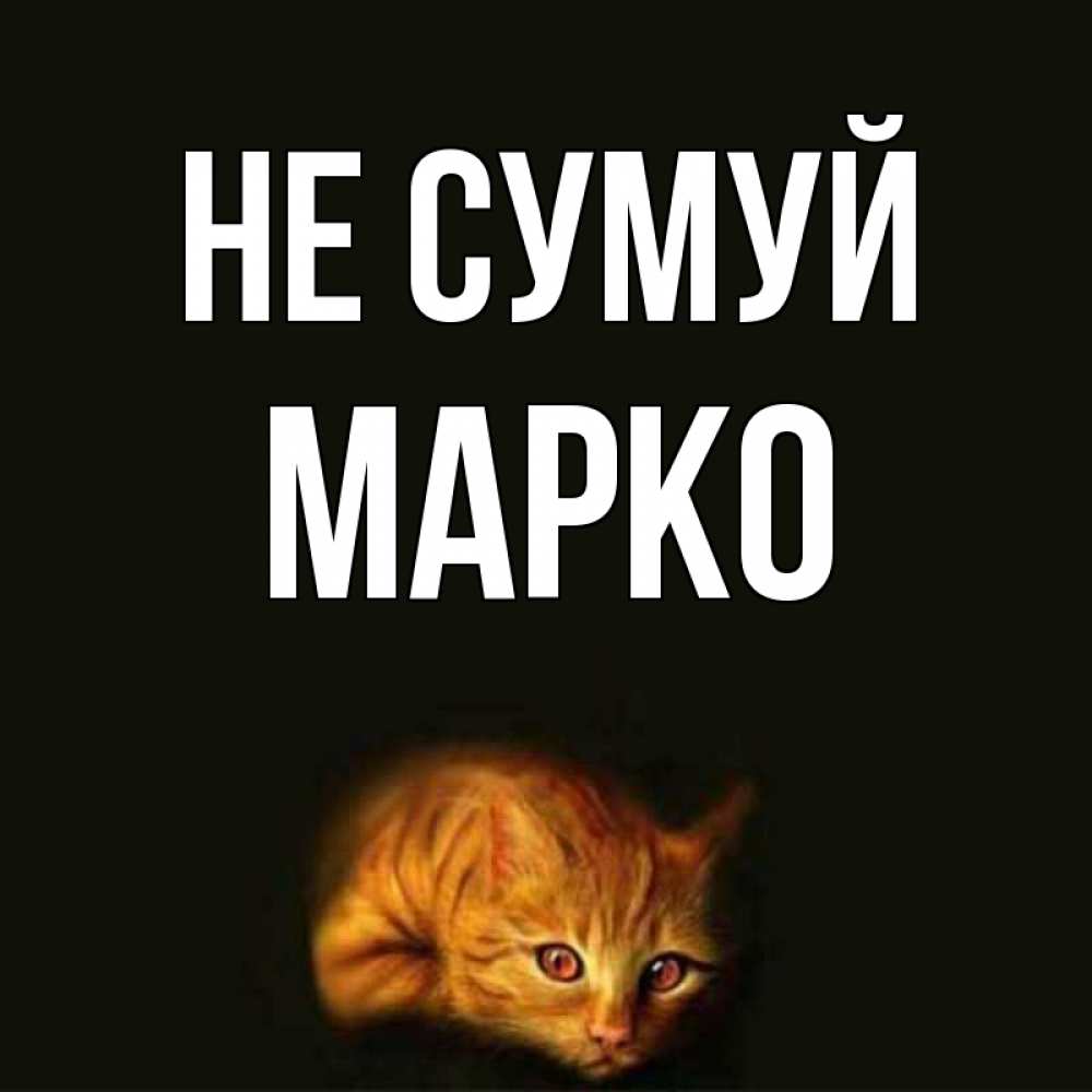 Открытка на каждый день з підписом, Марко Не сумуй лежащий кот в темноте Прикольна листівка з побажанням онлайн скачати безкоштовно 