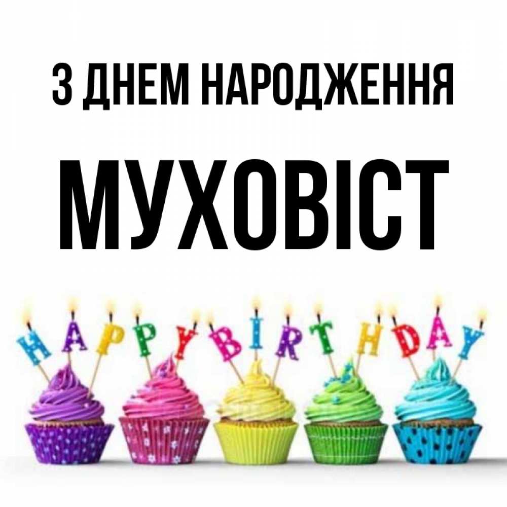 Открытка на каждый день з підписом, Муховіст З Днем народження открытка ко дню рождения с разноцветными вкусняшками Прикольна листівка з побажанням онлайн скачати безкоштовно 