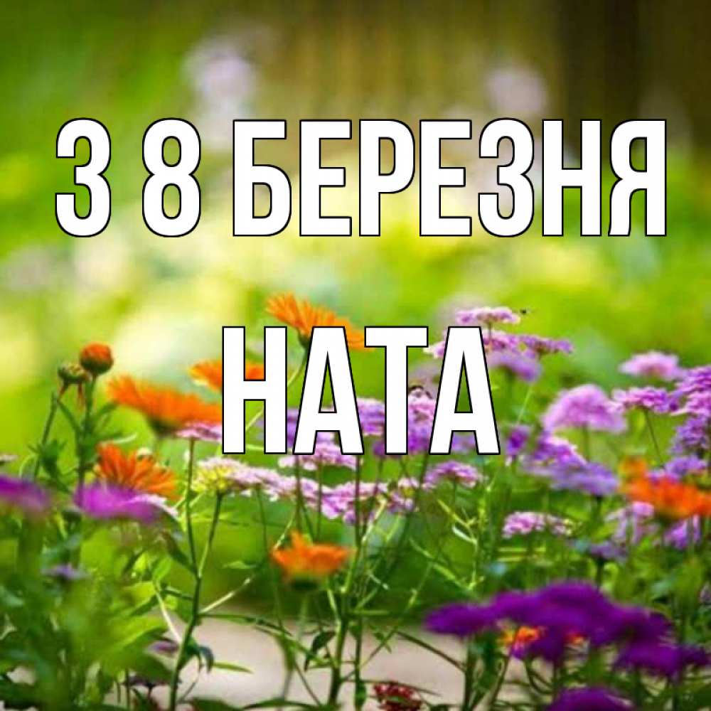Открытка на каждый день з підписом, Ната З 8 БЕРЕЗНЯ цветы Прикольна листівка з побажанням онлайн скачати безкоштовно 